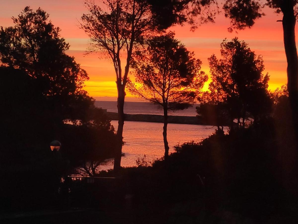 Paraiso En Cala Llobeta Calafat Buitenkant foto
